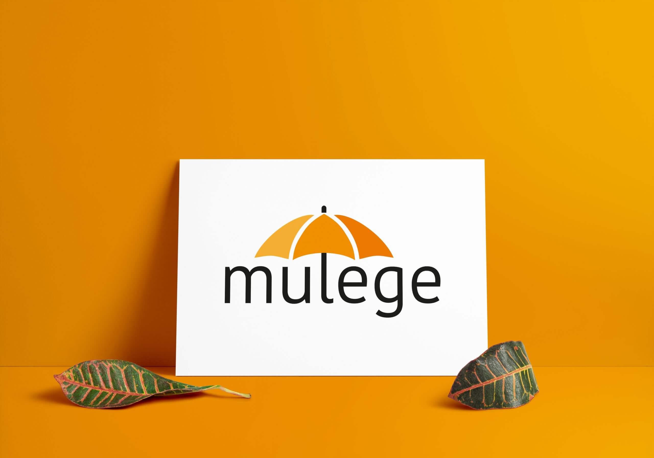 Logo laten ontwerpen Mulege